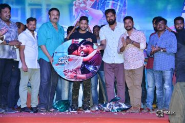 Naa Peru Surya Naa Illu India Movie Audio Launch